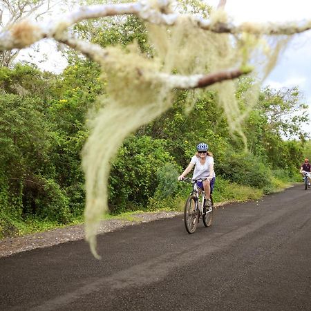 GALAPAGOS ISLANDS Galapagos Safari Camp 빌라 외부 사진