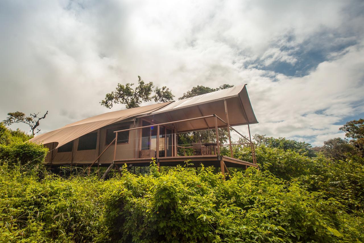 GALAPAGOS ISLANDS Galapagos Safari Camp 빌라 외부 사진